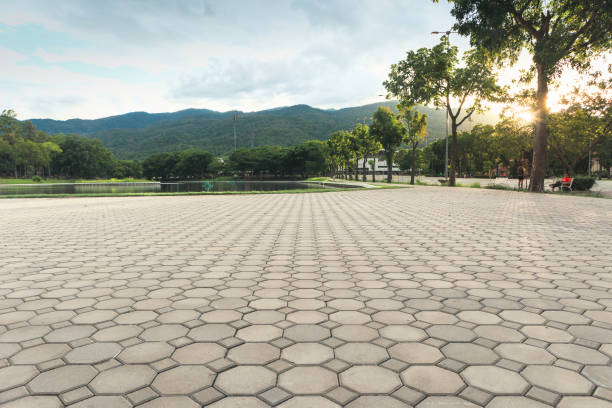 Best Custom Driveway Pavers  in Earlimart, CA